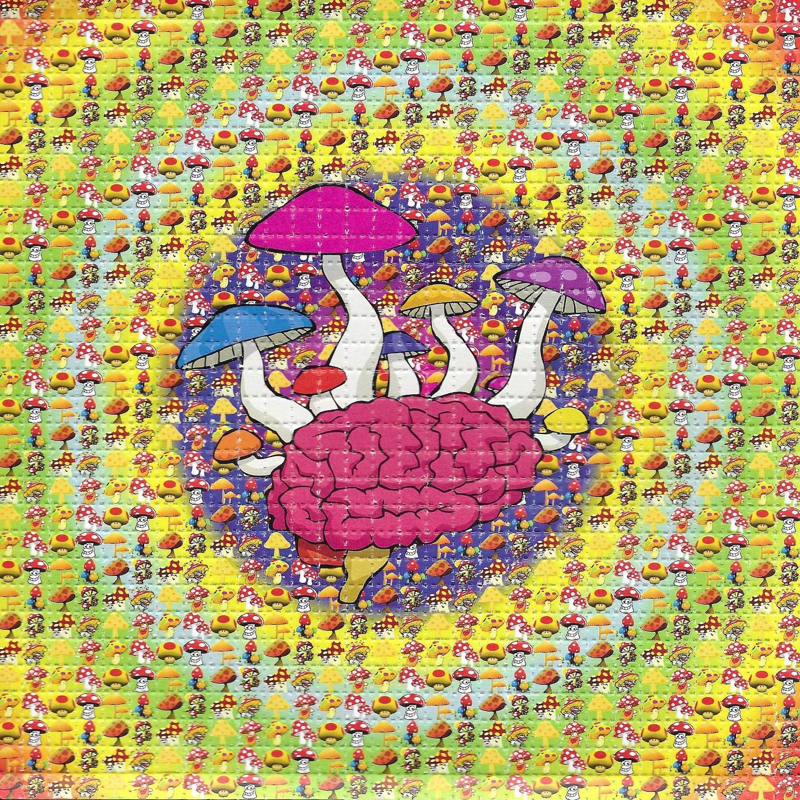 LSD-25 Tabs Mushroom Brain - Buy Delics Canada LSD-25 Tabs Mushroom Brain