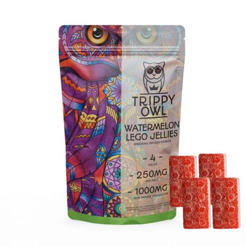 Trippy Owl – 1000mg Watermelon Lego Jellies